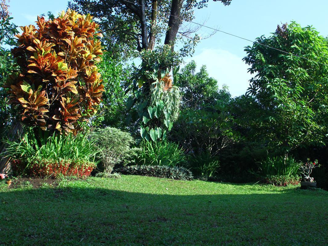 Puri Pangeran Hotel Yogyakarta Exterior photo